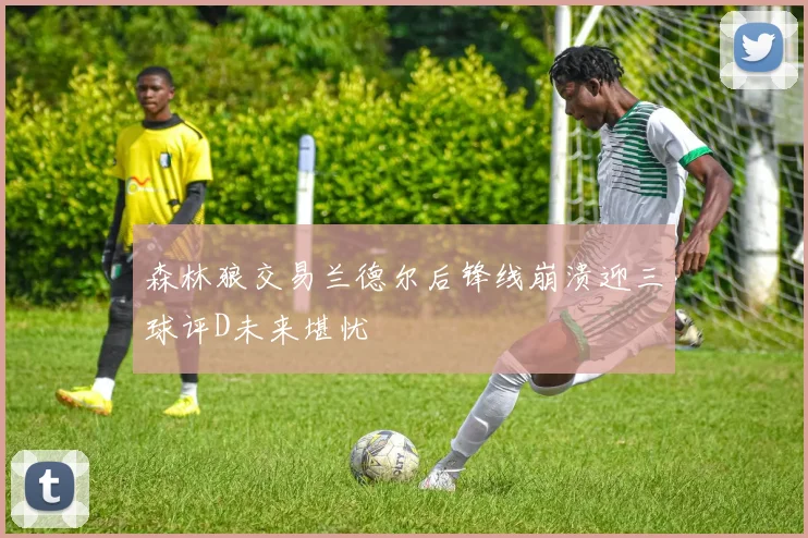 森林狼交易兰德尔后锋线崩溃迎三球评D未来堪忧