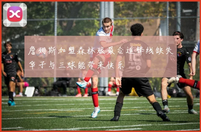 詹姆斯加盟森林狼最合适锋线缺失华子与三球能带来快乐