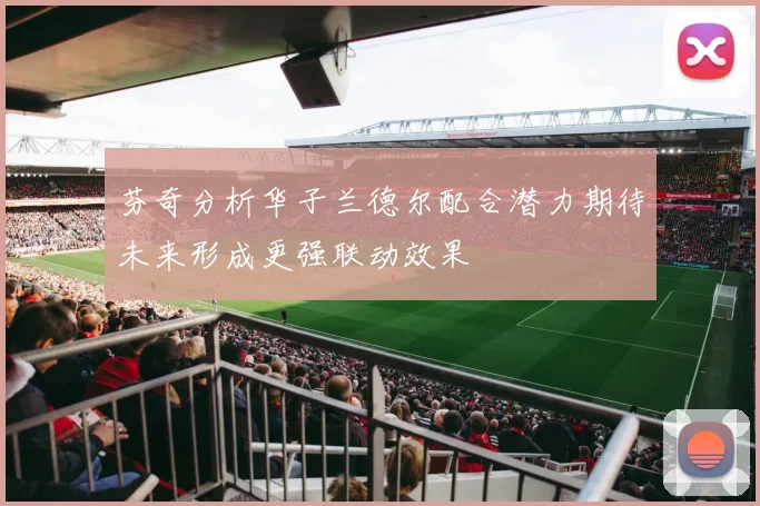 芬奇分析华子兰德尔配合潜力期待未来形成更强联动效果